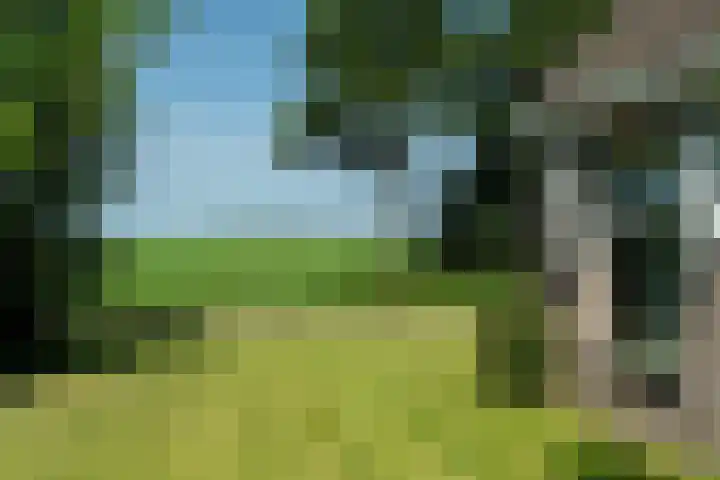 Allemawei 6 Aldwâld thumbnail 42