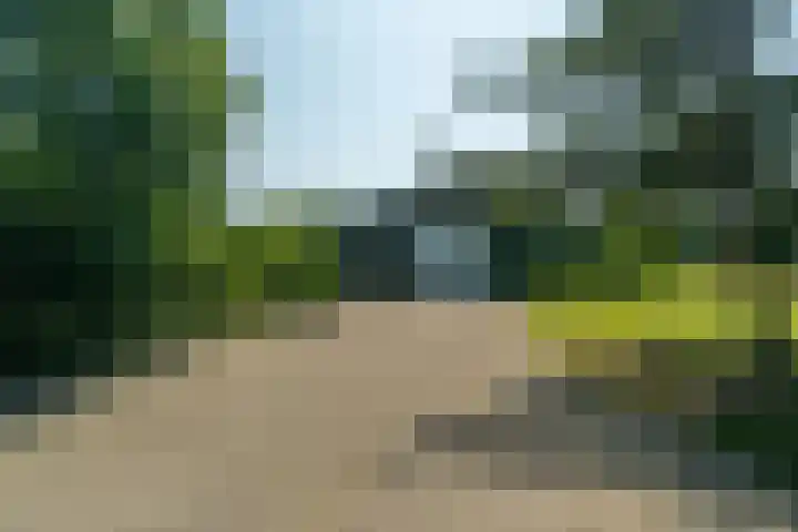 Allemawei 6 Aldwâld thumbnail 44