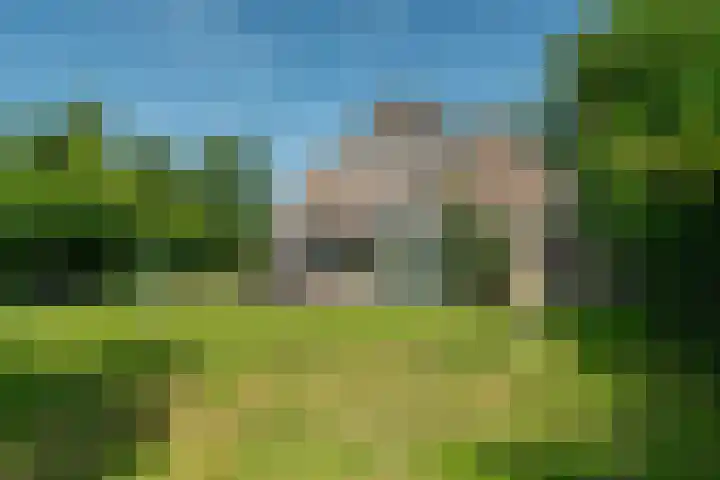 Allemawei 6 Aldwâld thumbnail 46