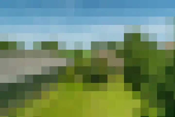 Allemawei 6 Aldwâld thumbnail 47