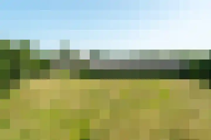 Allemawei 6 Aldwâld thumbnail 48