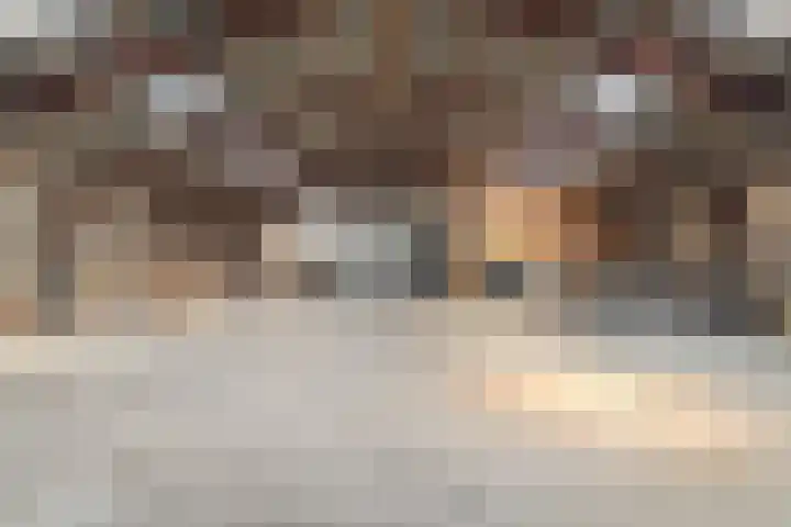 Allemawei 6 Aldwâld thumbnail 51