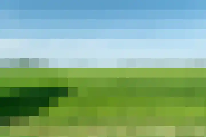 Allemawei 6 Aldwâld thumbnail 52