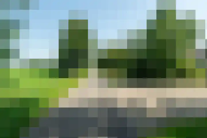 Allemawei 6 Aldwâld thumbnail 53
