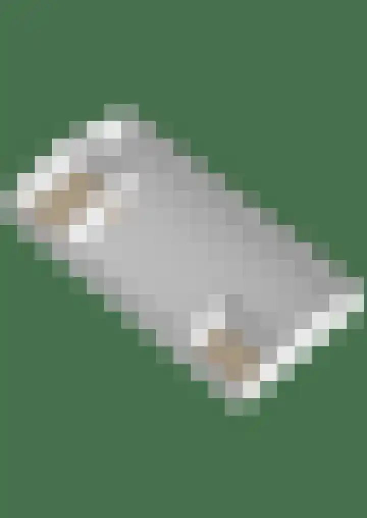 Allemawei 6 Aldwâld thumbnail 64