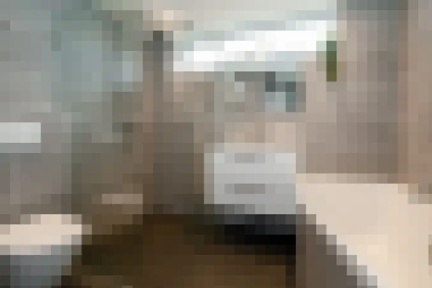 Allendelaan 64 Epe thumbnail 23