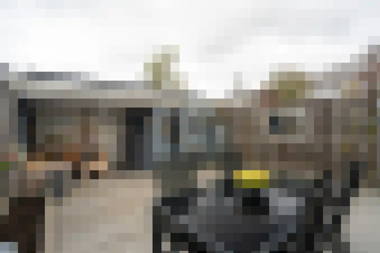 Allendelaan 64 Epe thumbnail 31