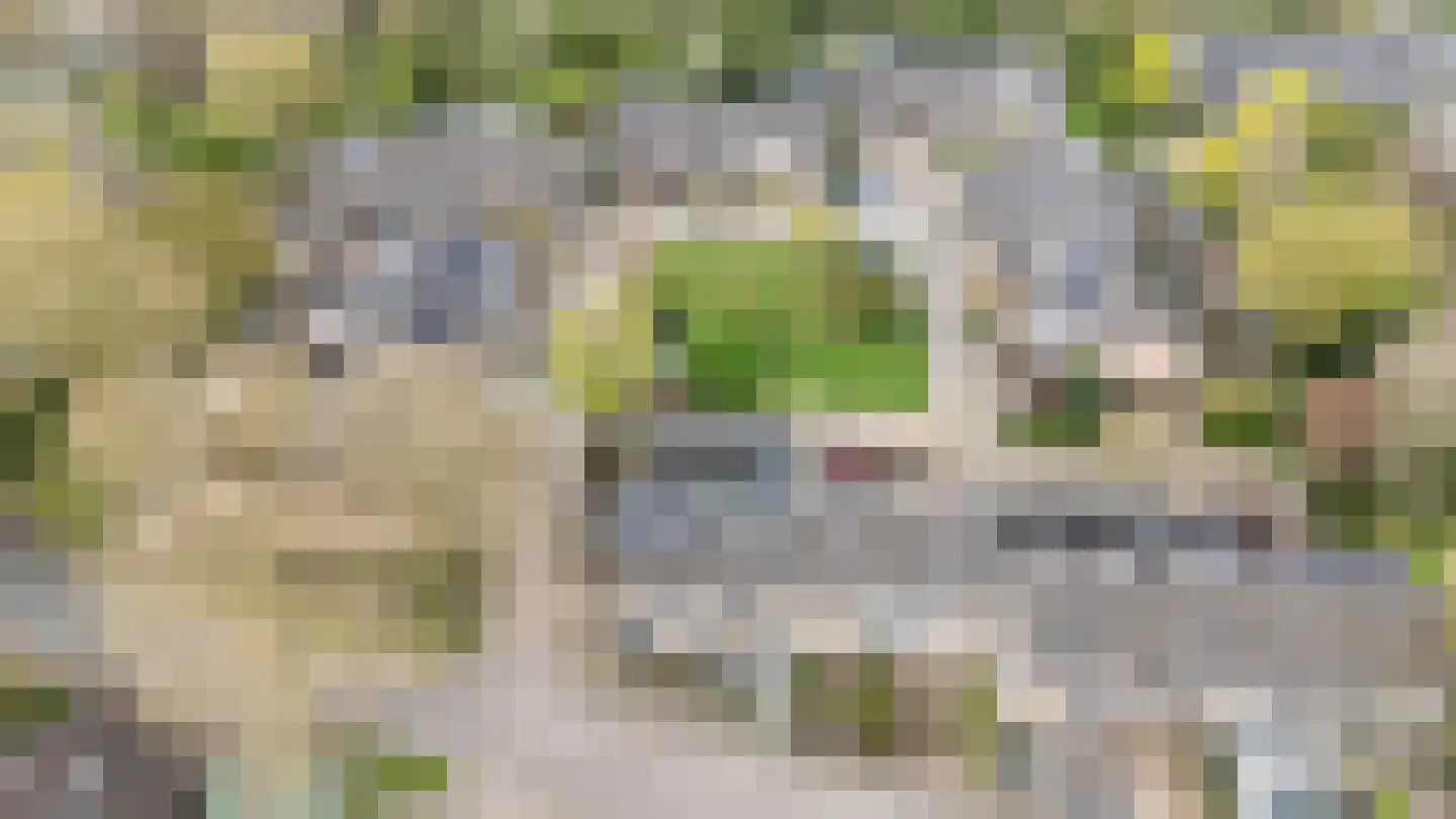Allendelaan 64 Epe thumbnail 37