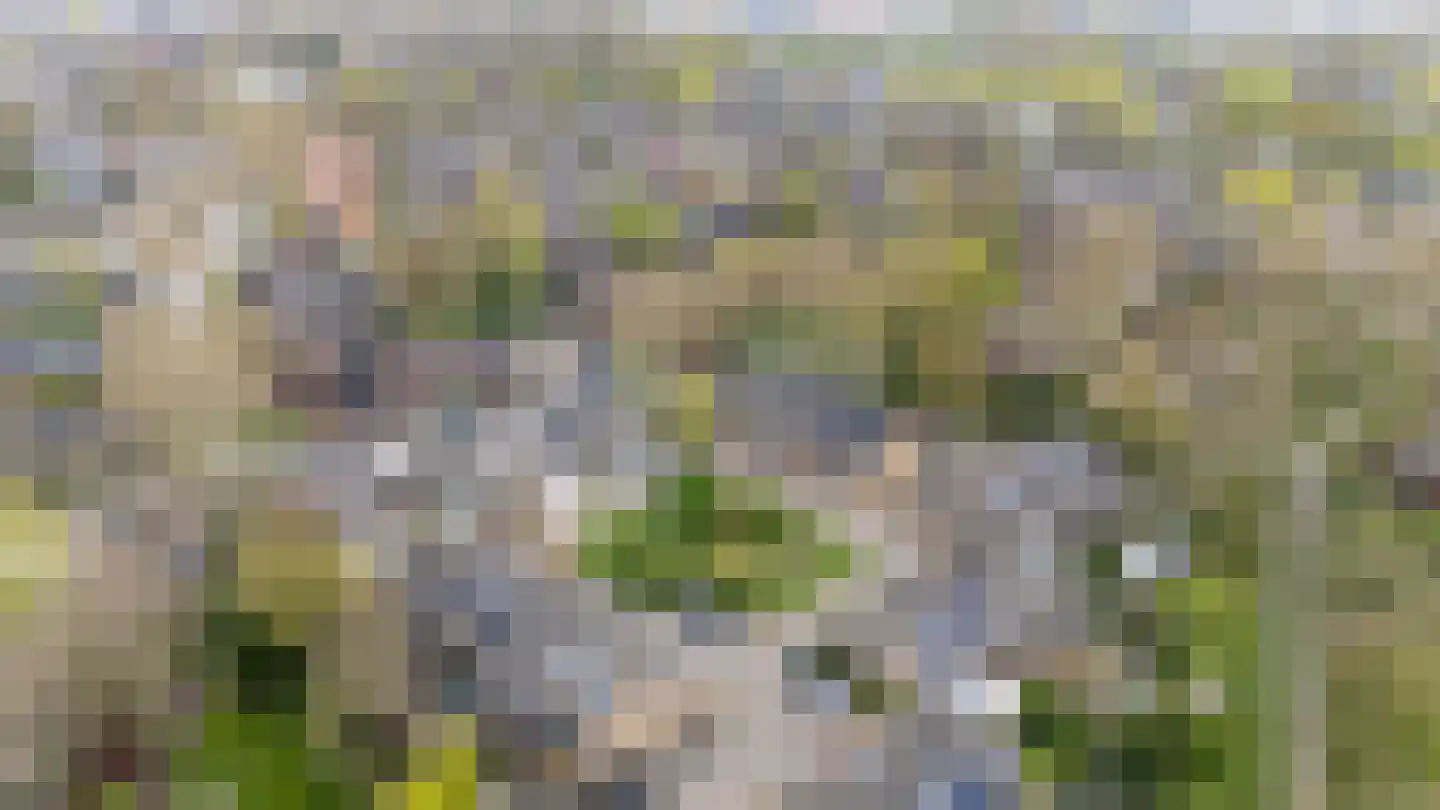Allendelaan 64 Epe thumbnail 5
