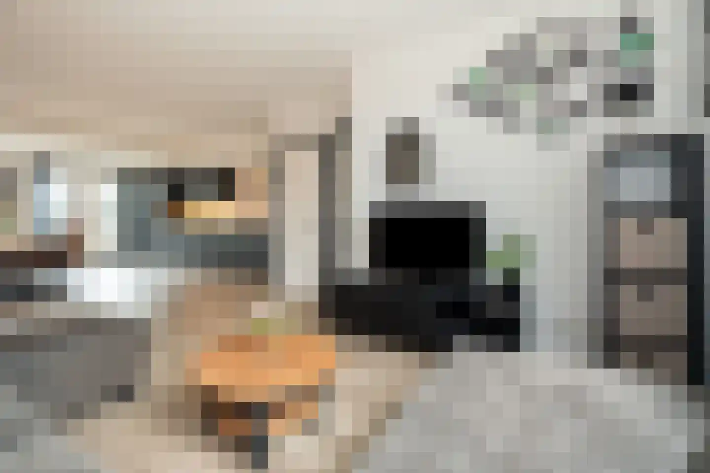 Allendelaan 64 Epe thumbnail 8