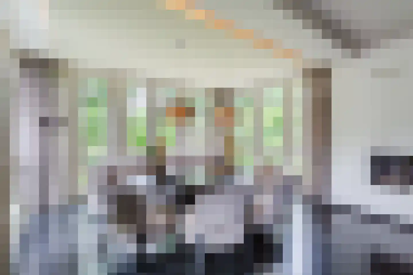 Allerboschweg 10 Ermelo thumbnail 10