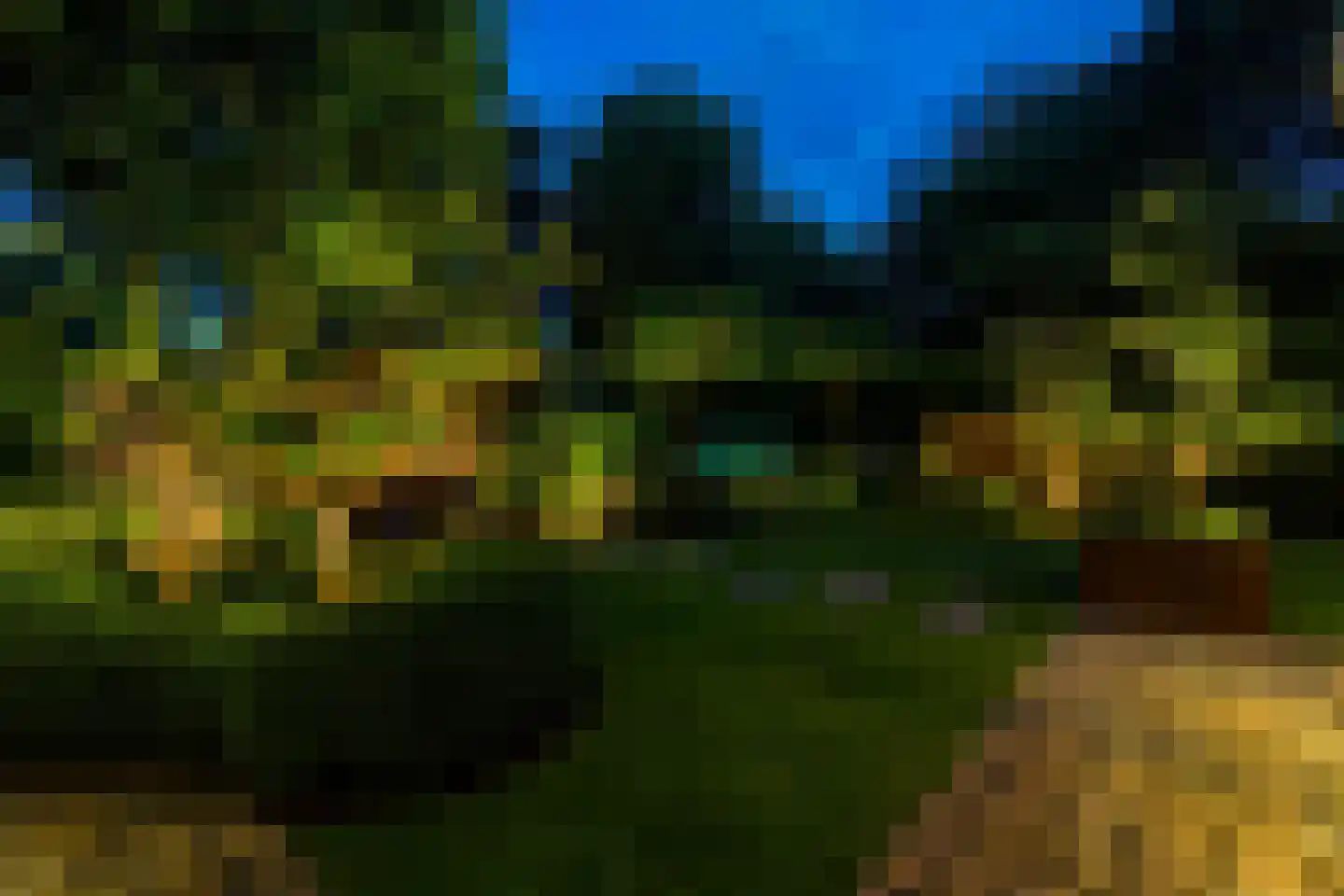 Allerboschweg 10 Ermelo thumbnail 100