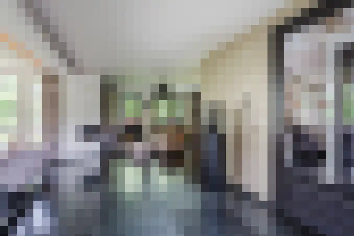 Allerboschweg 10 Ermelo thumbnail 12
