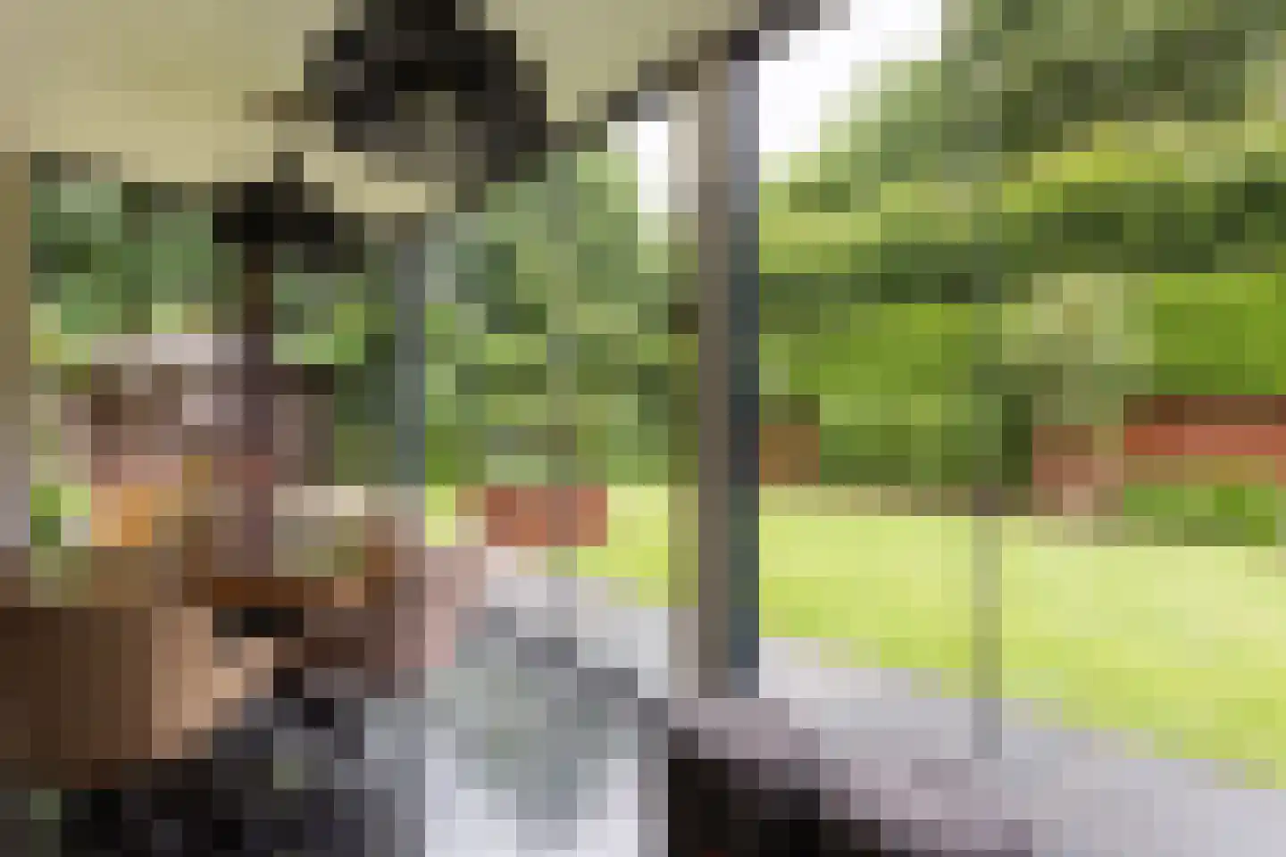 Allerboschweg 10 Ermelo thumbnail 20
