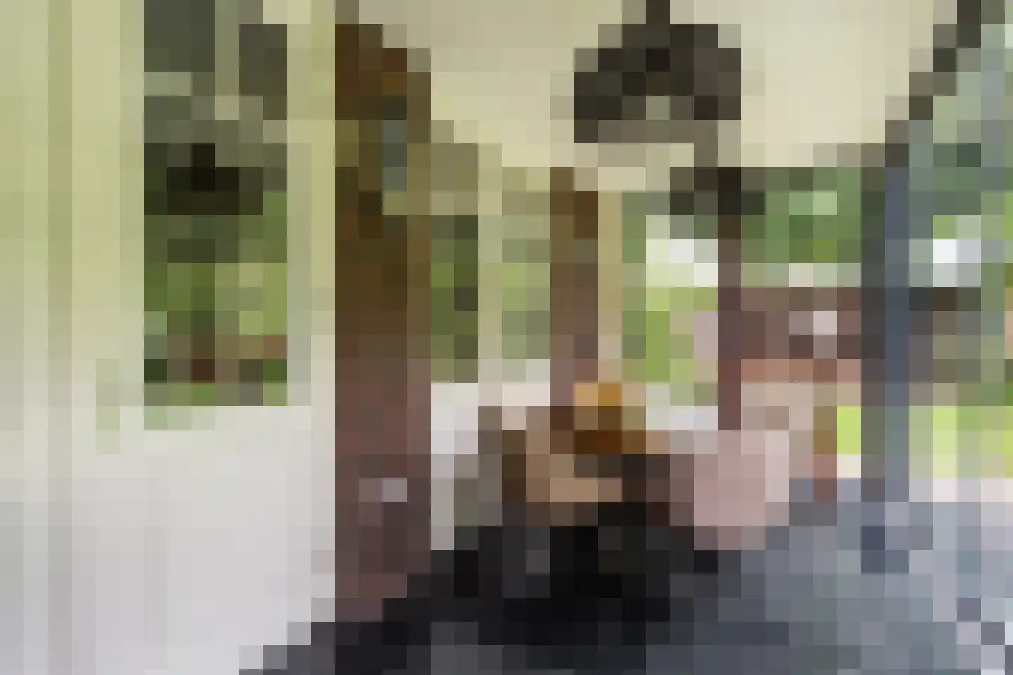 Allerboschweg 10 Ermelo thumbnail 21