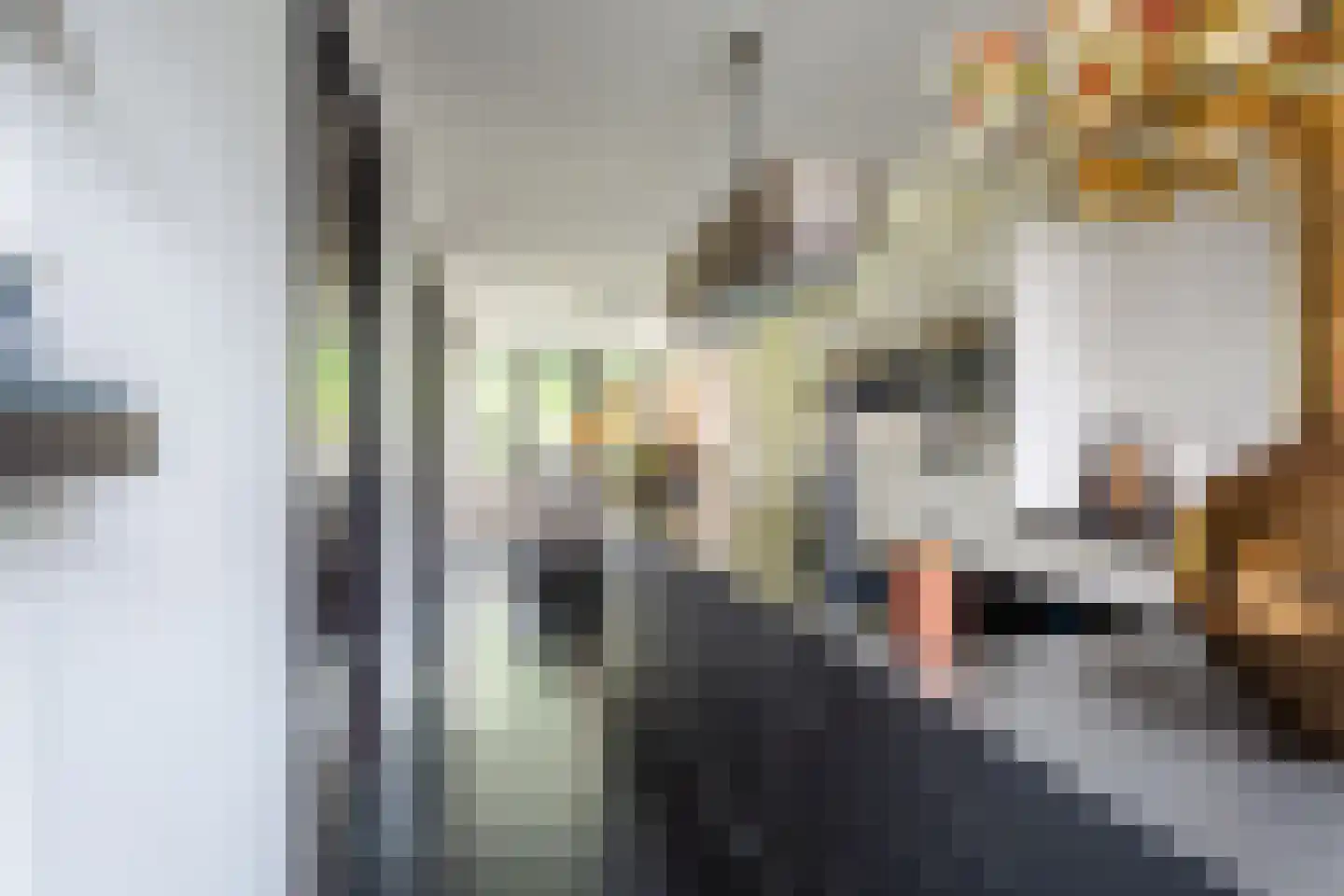 Allerboschweg 10 Ermelo thumbnail 27