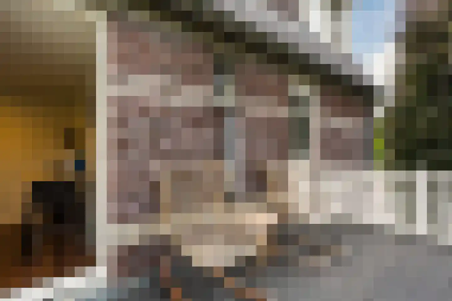 Allerboschweg 10 Ermelo thumbnail 65