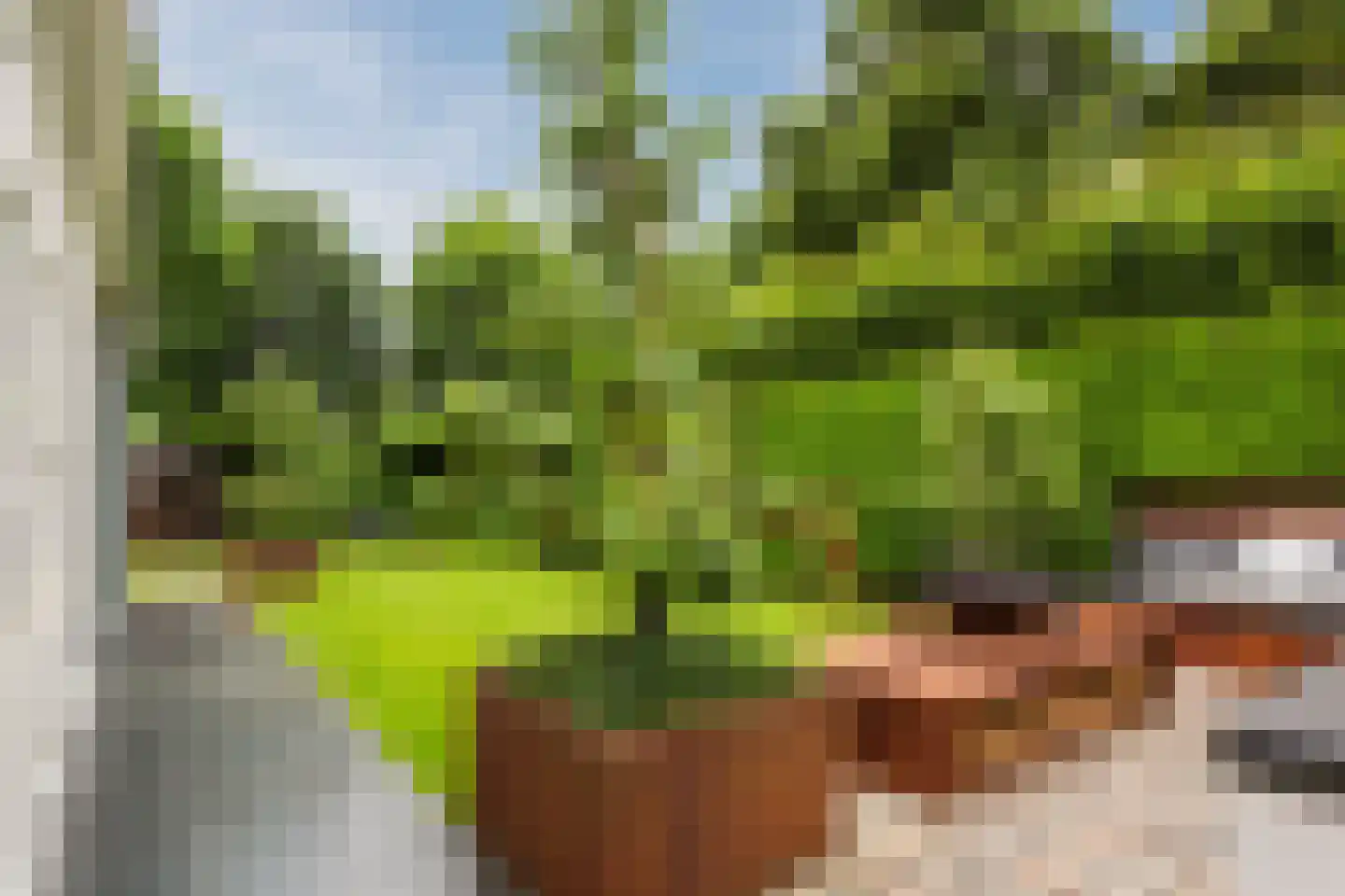 Allerboschweg 10 Ermelo thumbnail 66