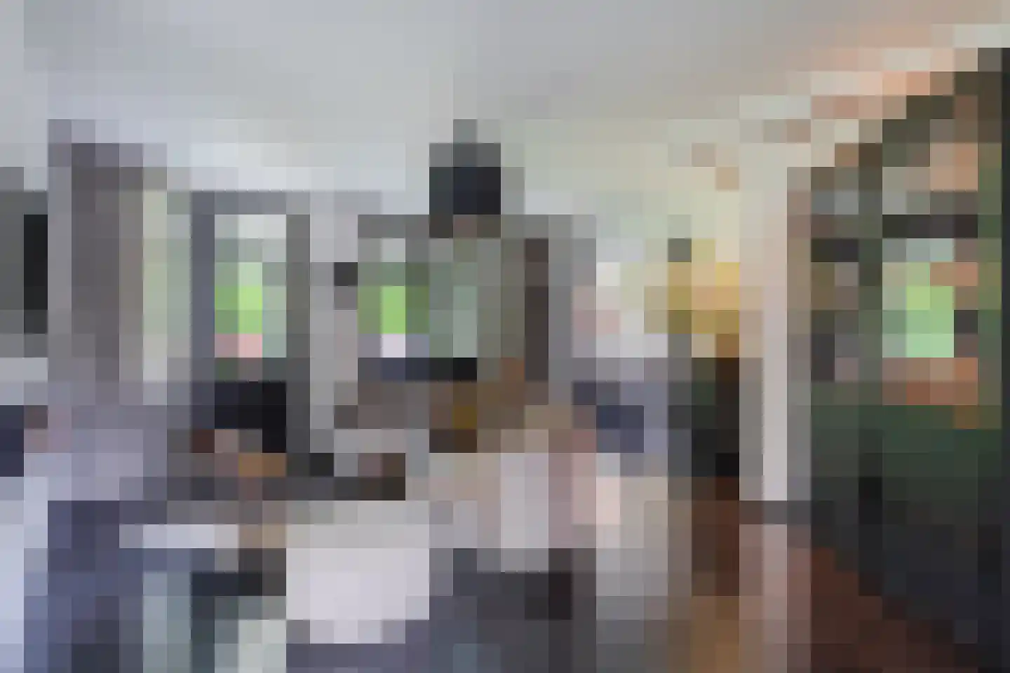 Allerboschweg 10 Ermelo thumbnail 7