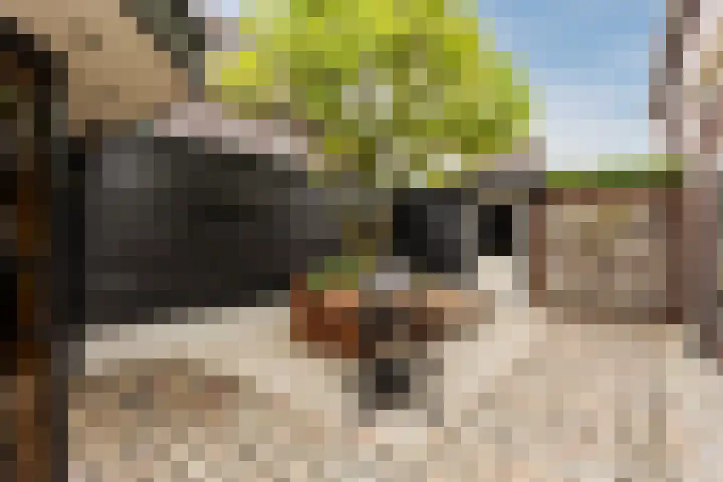 Allerboschweg 10 Ermelo thumbnail 70