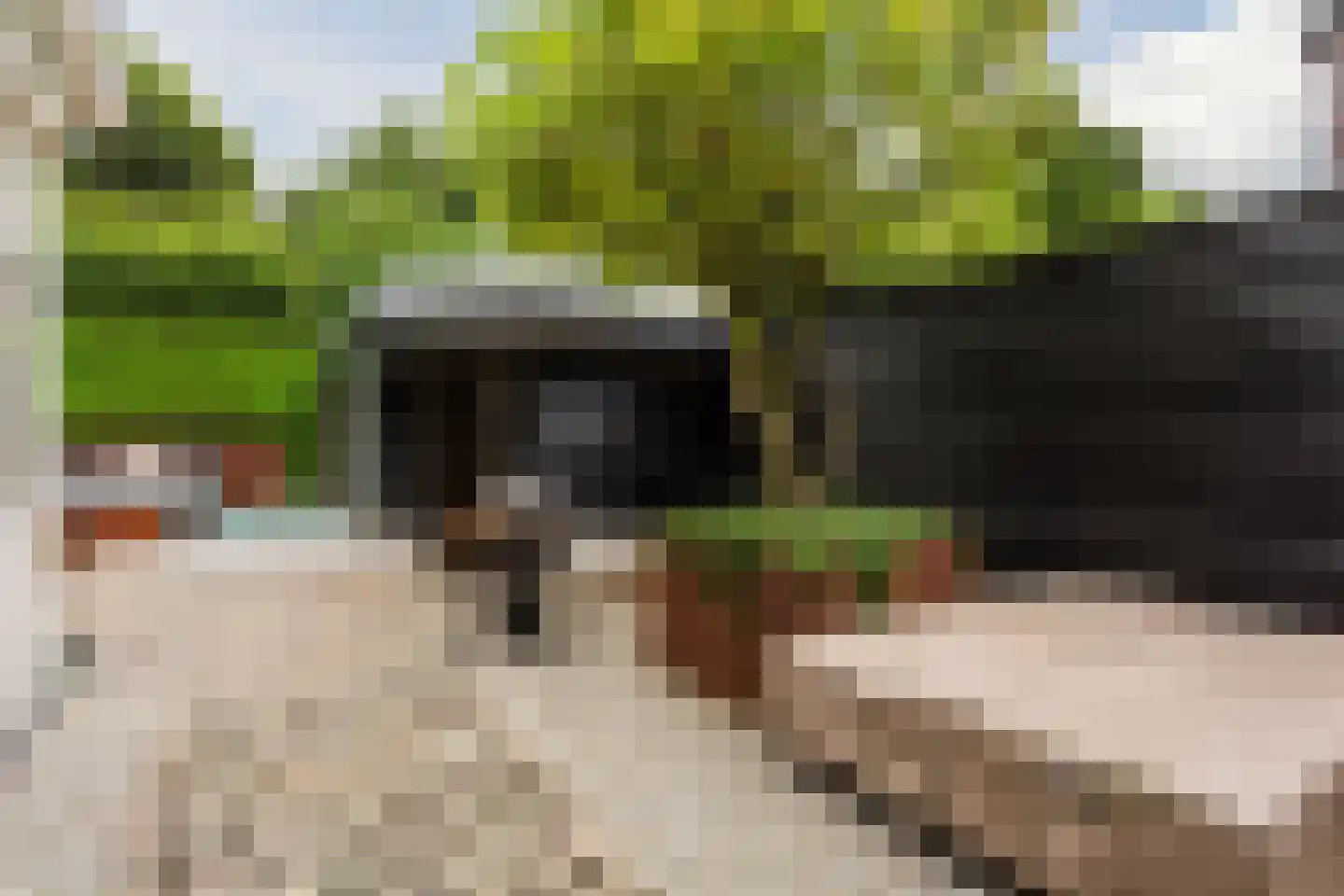 Allerboschweg 10 Ermelo thumbnail 71