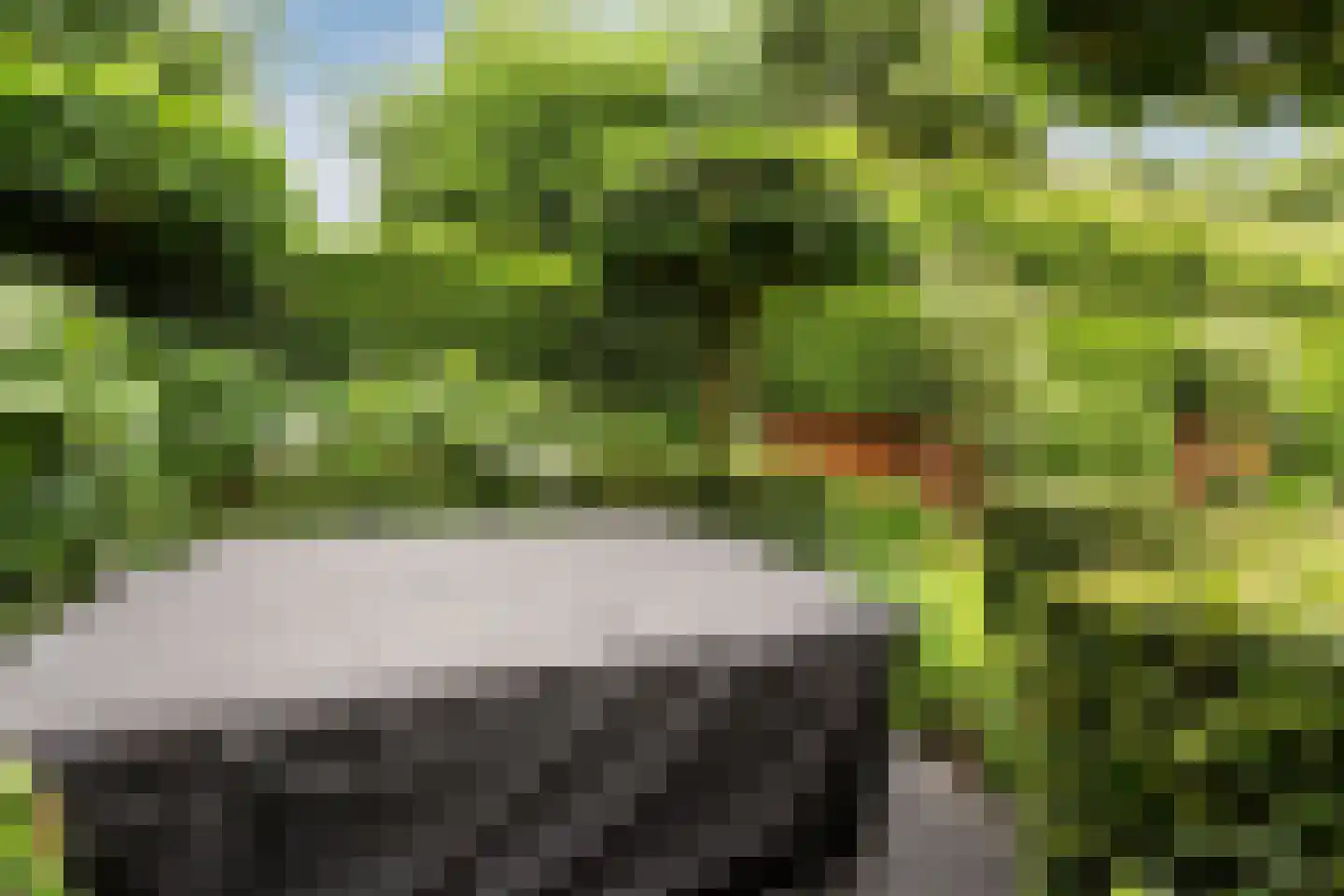 Allerboschweg 10 Ermelo thumbnail 76