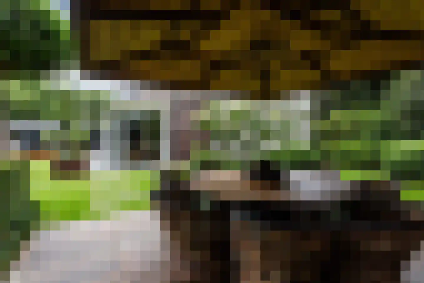 Allerboschweg 10 Ermelo thumbnail 77
