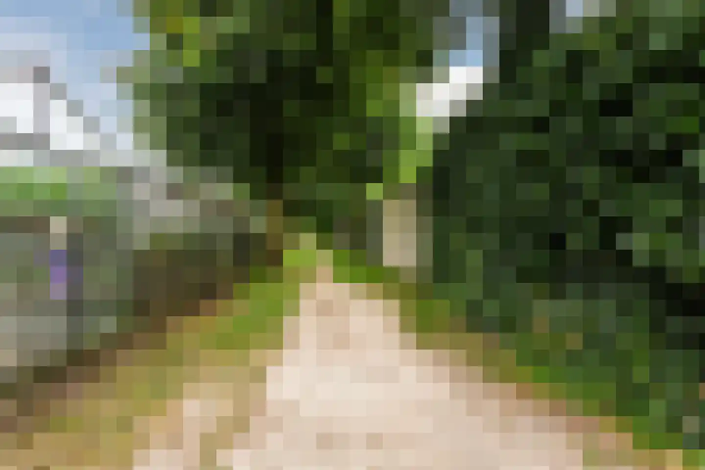 Allerboschweg 10 Ermelo thumbnail 78