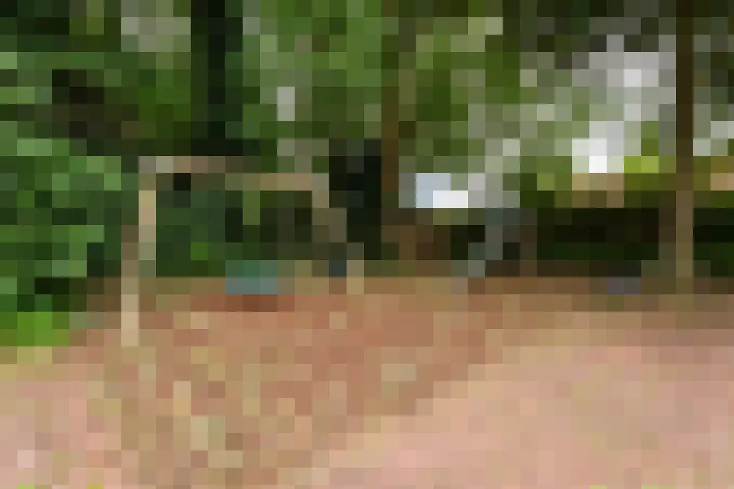 Allerboschweg 10 Ermelo thumbnail 79