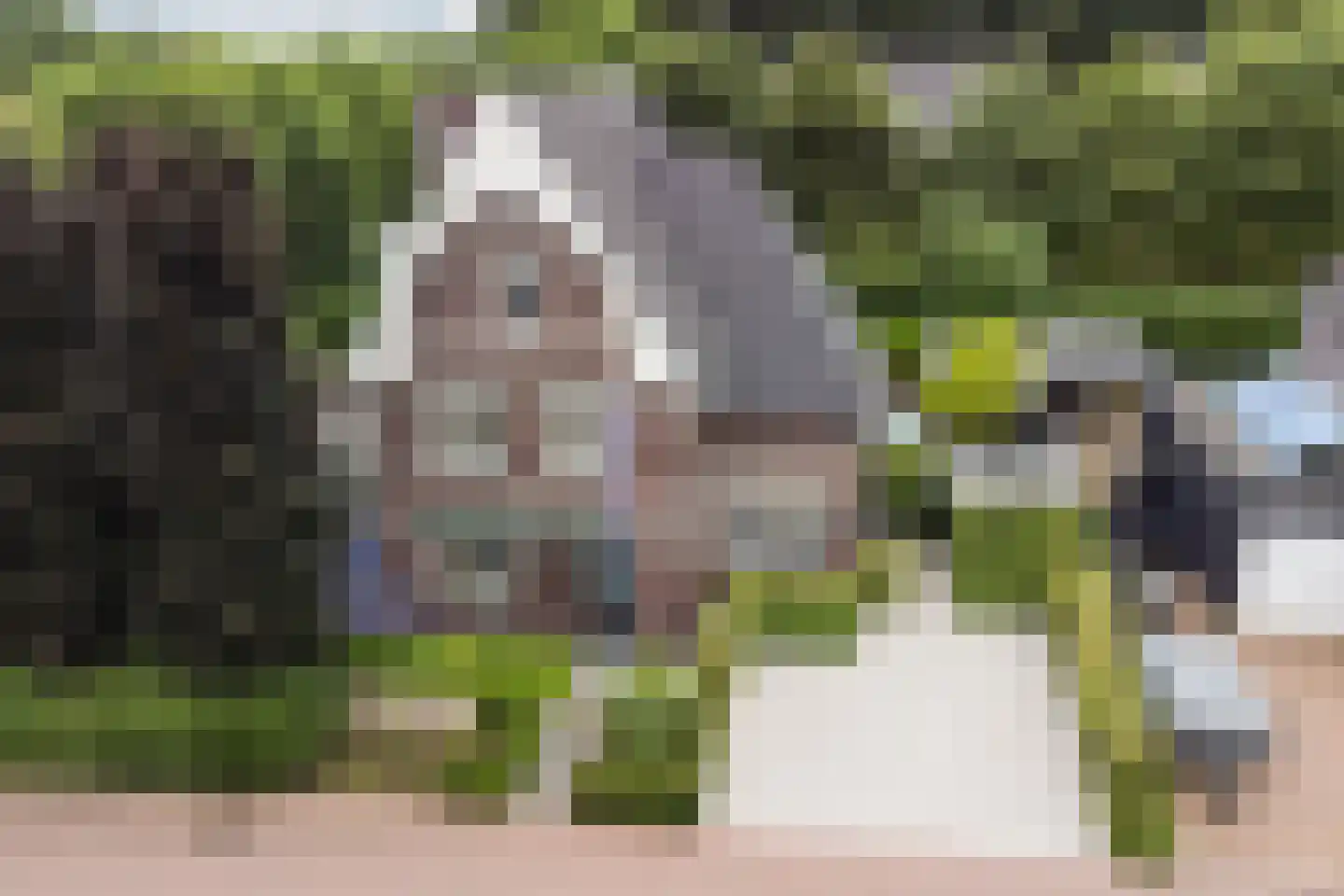 Allerboschweg 10 Ermelo thumbnail 81