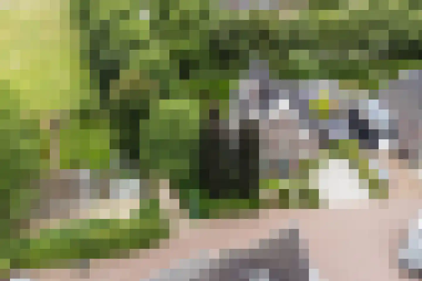 Allerboschweg 10 Ermelo thumbnail 82