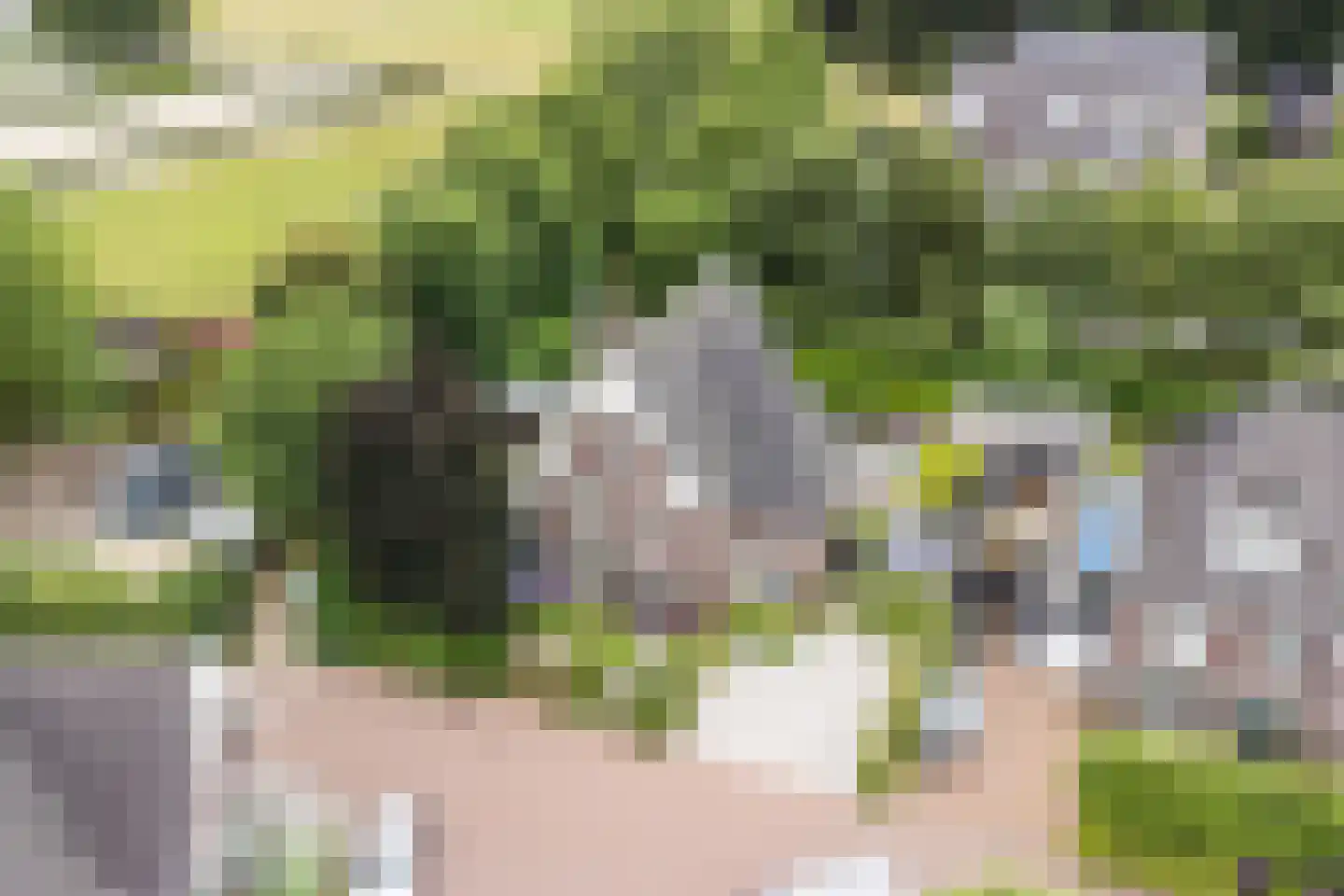 Allerboschweg 10 Ermelo thumbnail 83