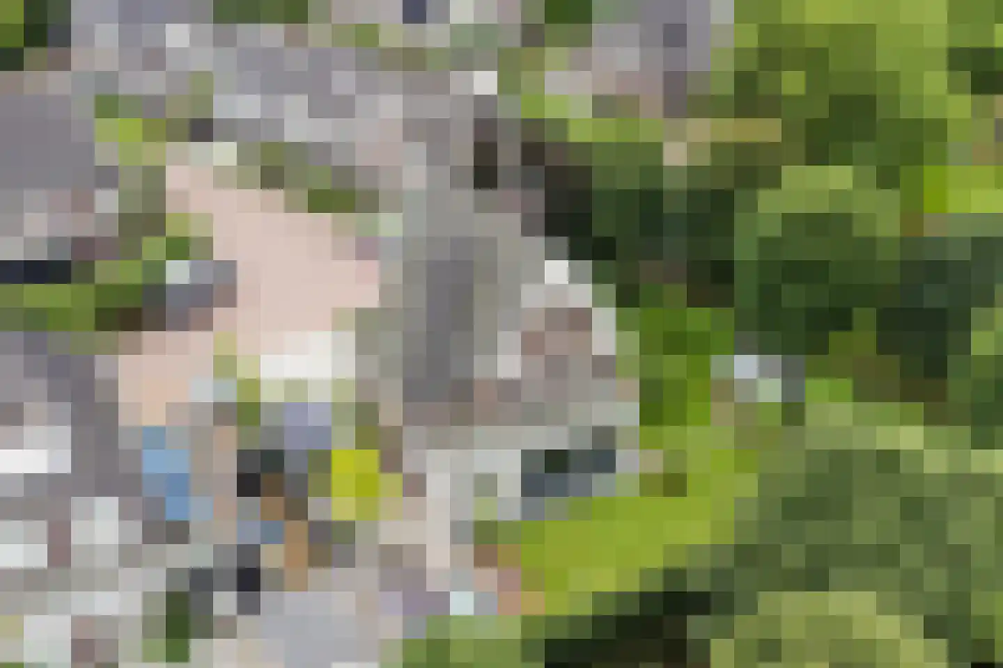 Allerboschweg 10 Ermelo thumbnail 84