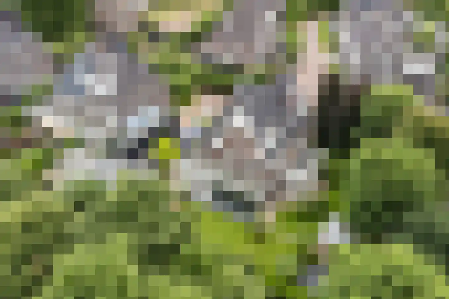 Allerboschweg 10 Ermelo thumbnail 85