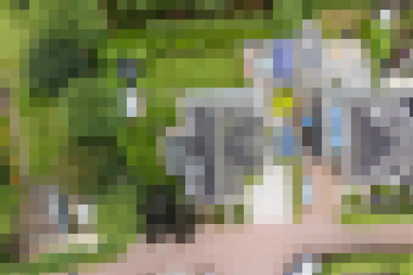 Allerboschweg 10 Ermelo thumbnail 86