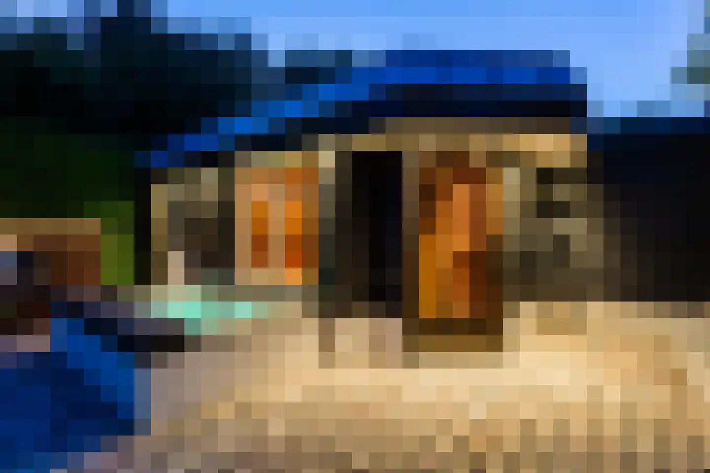 Allerboschweg 10 Ermelo thumbnail 95