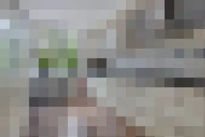 Allerboschweg 32 Ermelo thumbnail 11