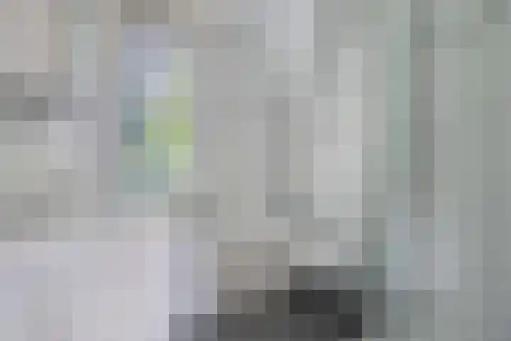 Allerboschweg 32 Ermelo thumbnail 16