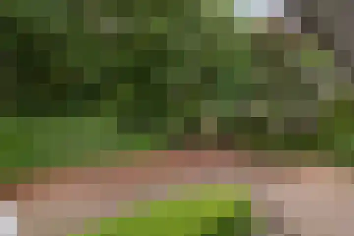 Allerboschweg 32 Ermelo thumbnail 20