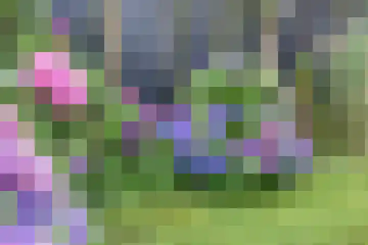 Allerboschweg 32 Ermelo thumbnail 27