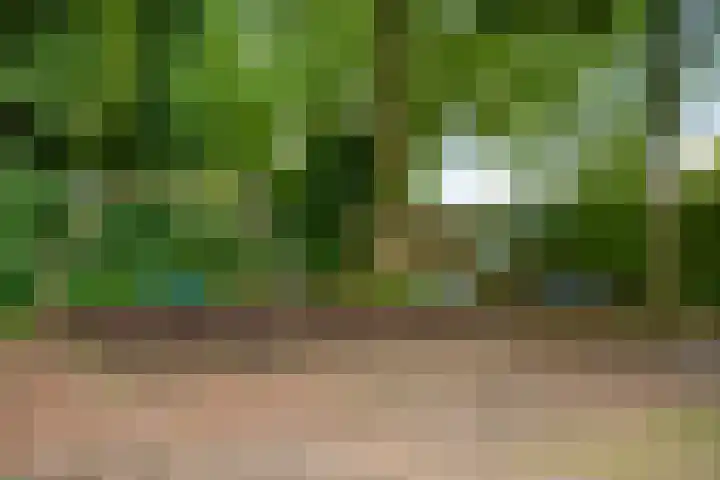 Allerboschweg 32 Ermelo thumbnail 30