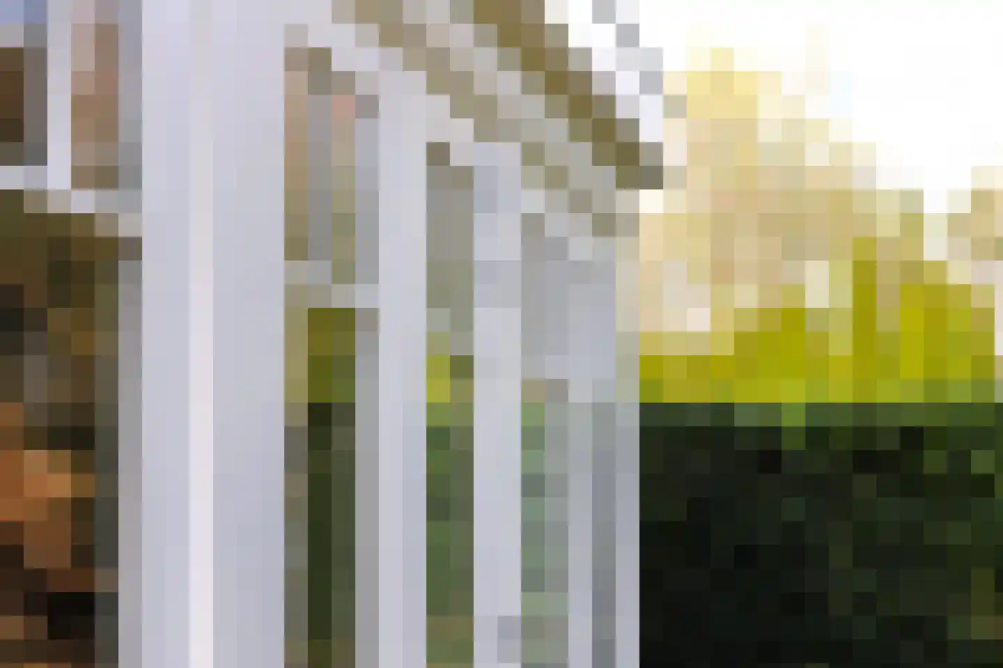 Allerboschweg 5 Ermelo thumbnail 36