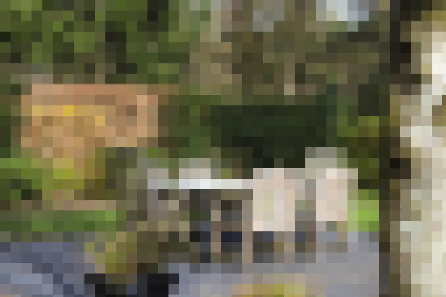 Allerboschweg 5 Ermelo thumbnail 39