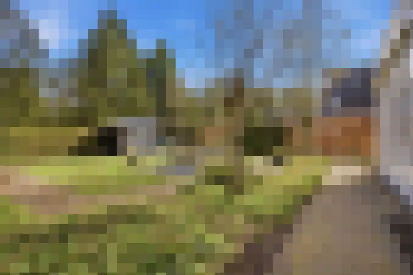 Allerboschweg 5 Ermelo thumbnail 40