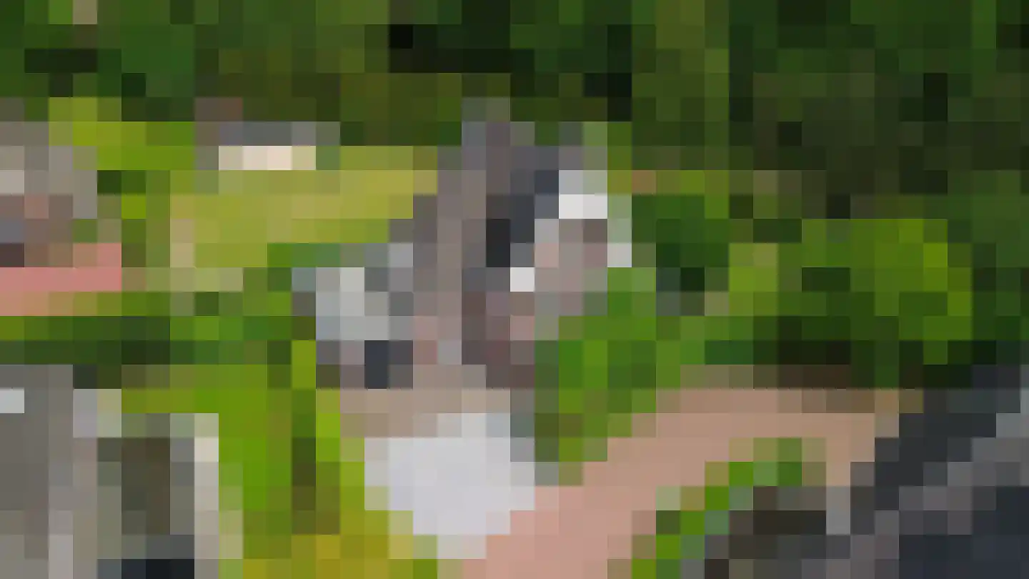 Allerboschweg 5 Ermelo thumbnail 42