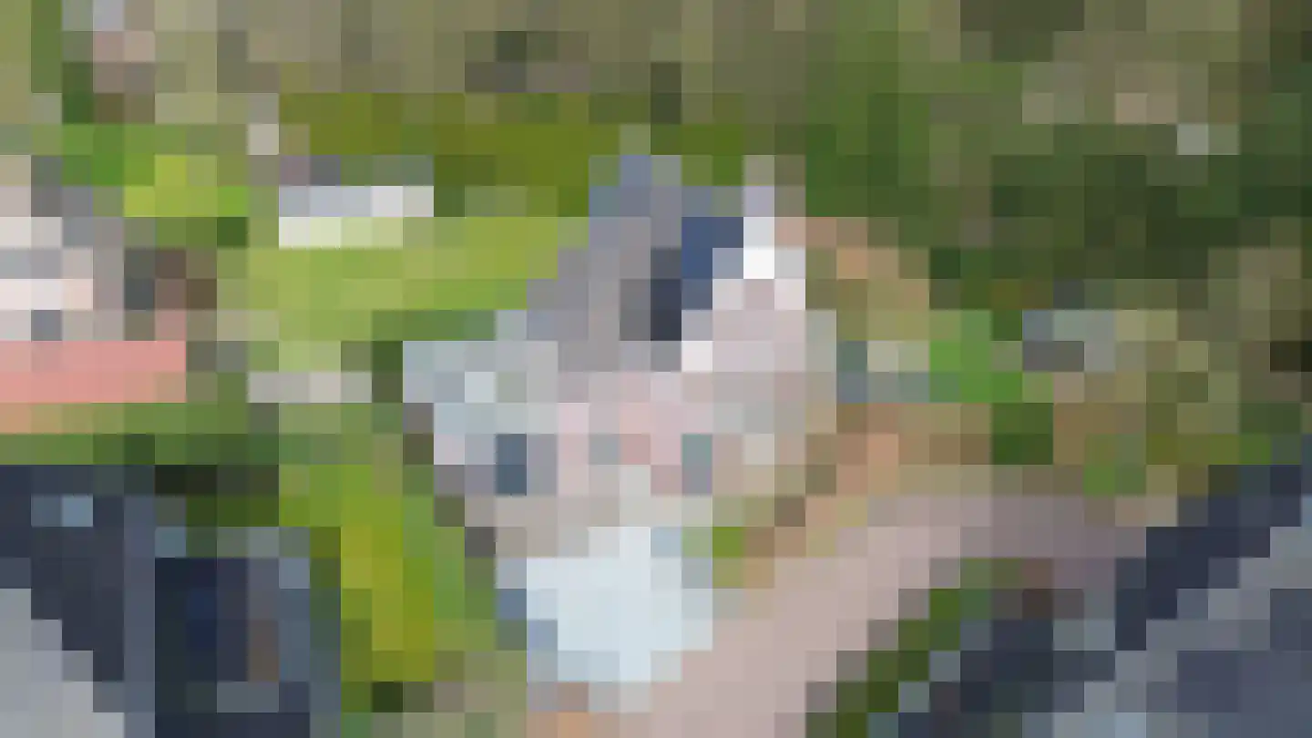 Allerboschweg 5 Ermelo thumbnail 43