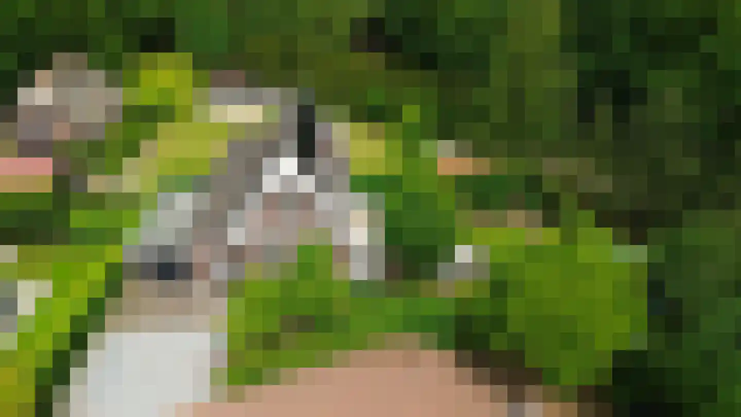 Allerboschweg 5 Ermelo thumbnail 43