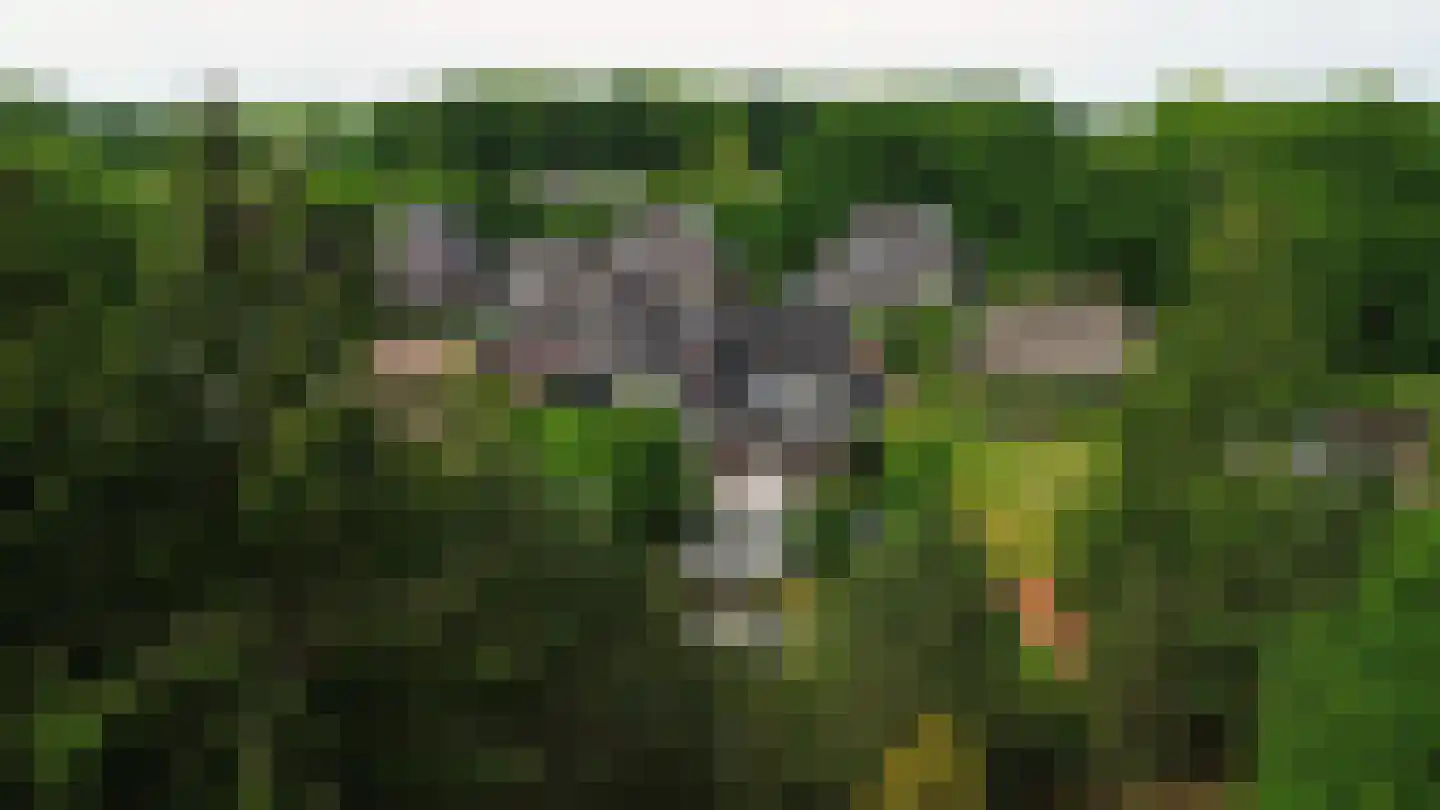 Allerboschweg 5 Ermelo thumbnail 44