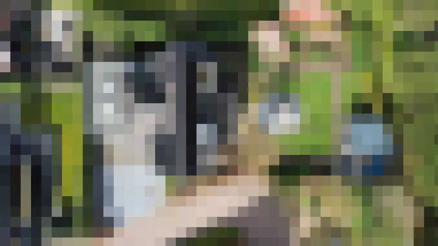 Allerboschweg 5 Ermelo thumbnail 44