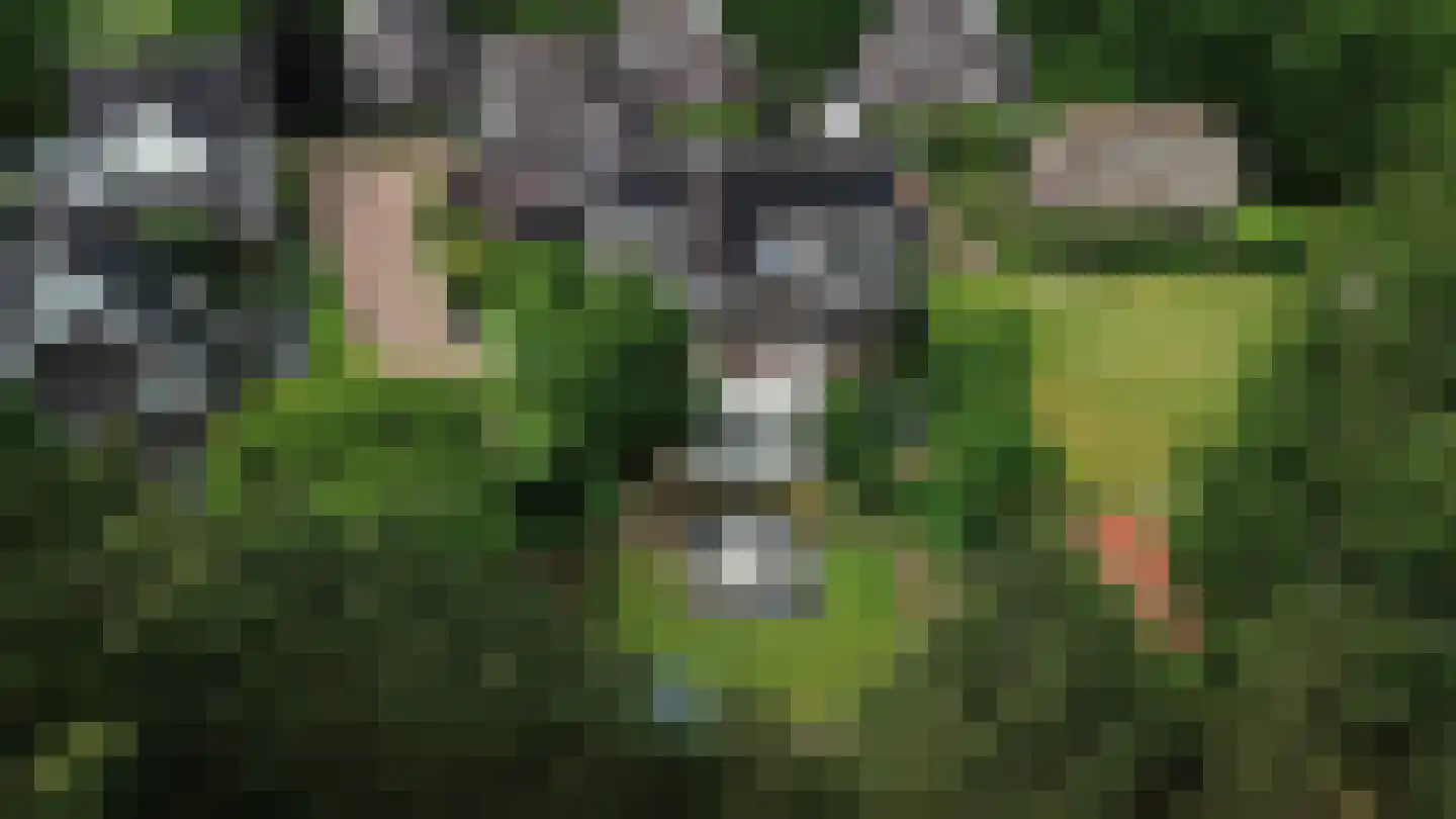 Allerboschweg 5 Ermelo thumbnail 45